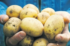 savas-avrupada-patates-fiyatlarini-yuzde-700-artirdi-7TNkXGrJ.jpg