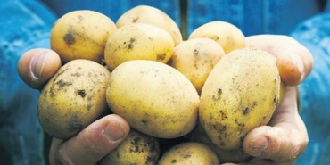 savas-avrupada-patates-fiyatlarini-yuzde-700-artirdi-7TNkXGrJ.jpg