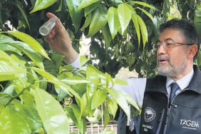 bakan-yumakli-17-farkli-turde-39-yeni-bitki-cesidi-tescil-edildi-tohumda-bagimsiz-turkiye-8wMFWJQ5.jpg