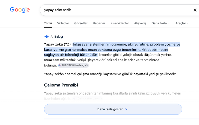 Google’ın Yapay Zeka Arama Sonuçlarına Darbe: Karar Tamamen Yayıncılara Geçiyor