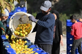 tarim-ve-gida-dis-ticaretinde-fazla-74-dususu-ekonomi-ve-sektorel-gorunum-IT9lcdfQ.jpg