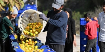 tarim-ve-gida-dis-ticaretinde-fazla-74-dususu-ekonomi-ve-sektorel-gorunum-IT9lcdfQ.jpg