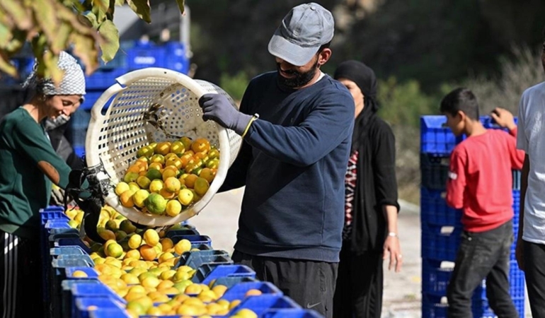tarim-ve-gida-dis-ticaretinde-fazla-74-dususu-ekonomi-ve-sektorel-gorunum-IT9lcdfQ.jpg