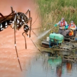 uzmanindan-kapinin-onundeki-su-birikintisine-dikkat-asya-kaplan-sivrisinegi-riski-FaZKXVzp.jpg