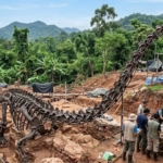 150-milyon-yillik-dev-kesif-yeni-dinozor-turu-bulundu-2GLFGhMr.jpg