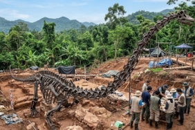 150-milyon-yillik-dev-kesif-yeni-dinozor-turu-bulundu-2GLFGhMr.jpg