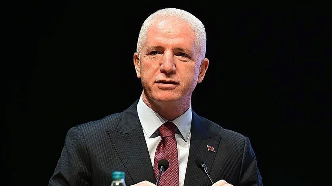 vali-gul-istanbulda-sahipsiz-hayvanlarin-yuzde-65i-toplandi-vjvwL9HM.jpg